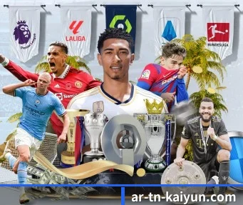 开云体育 APP - kaiyun sports